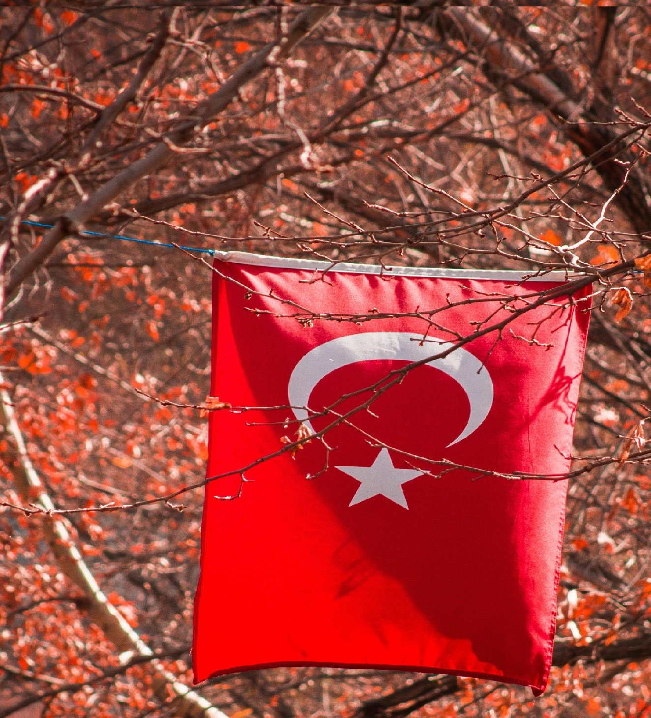 If you are a fan of competitive gaming and considering moving to Turkey, you might be wondering about Turkish residency options and how it can impact your gaming lifestyle. Turkey is emerging as a hub for gamers with its growing esports community, tournaments, and gaming events.